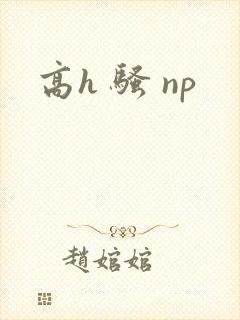 高h 骚 np