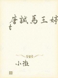 唐诚马玉婷txt封面