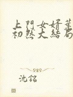 上门女婿叶辰萧初然大结局封面