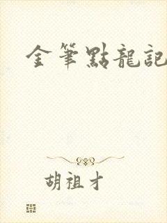 金笔点龙记封面