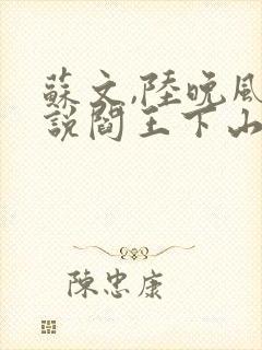 苏文,陆晚风小说阎王下山