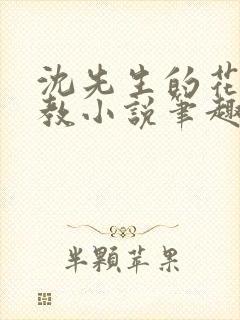 沈先生的花式调教小说笔趣阁