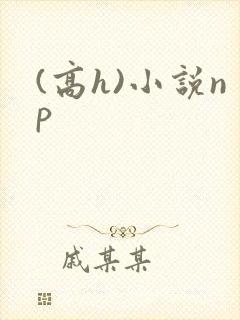 (高h)小说np