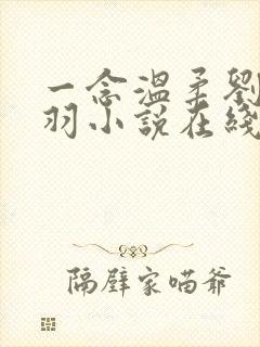 一念温柔刘雪费羽小说在线阅读