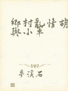 乡村乱情胡秀英与小军