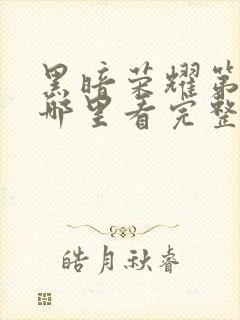 黑暗荣耀第二季哪里看完整版