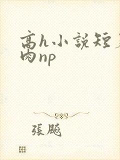 高h小说短篇纯肉np
