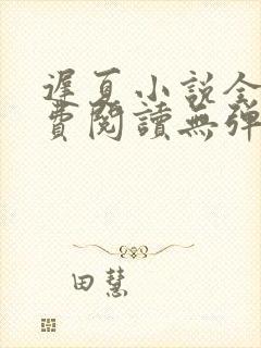 迟夏小说全文免费阅读无弹窗