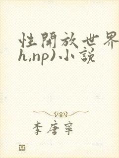 性开放世界(高h,np)小说