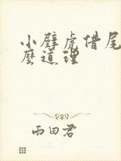 小壁虎借尾巴什么道理