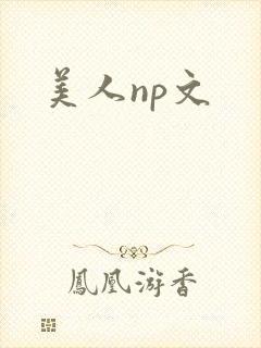 美人np文