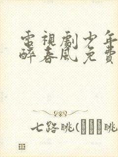 电视剧少年白马醉春风免费播放