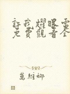 许我耀眼电视剧免费观看全部15集封面