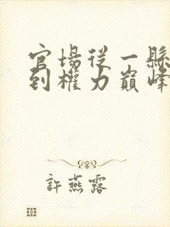 官场从一县之长到权力巅峰封面