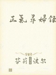 正气寻妇录封面