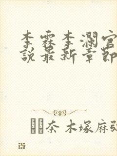 李霖李澜官场小说最新章节