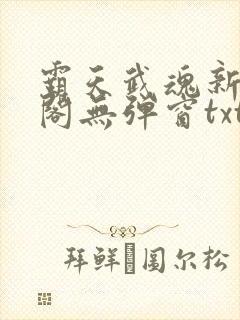 霸天武魂新笔趣阁无弹窗txt