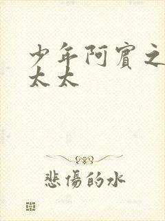 少年阿宾之房东太太