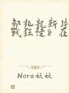 邹兆龙新片《猎战狂徒》在线观看