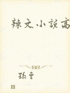 辣文小说高h封面