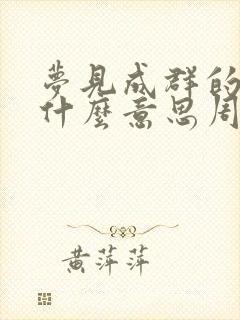 梦见成群的鸡是什么意思周公解梦