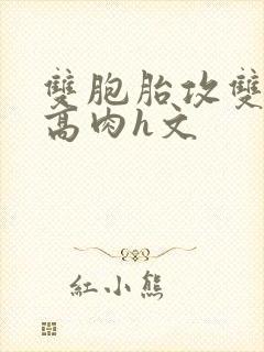 双胞胎攻双性受高肉h文封面