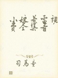 小娘惹电视剧免费全集看