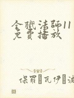 全职法师11季免费播放