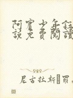 阿宾少年钰慧小说免费阅读笔趣阁