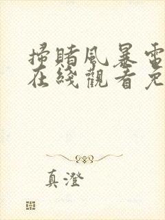 扫赌风暴电视剧在线观看免费完整版