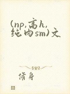 (np,高h,纯肉sm)文