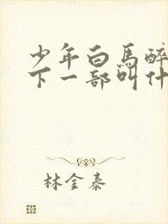 少年白马醉春风下一部叫什么封面