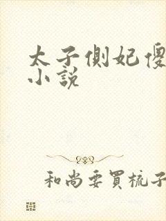 太子侧妃傻乎乎小说