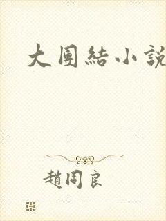 大团结小说阅读