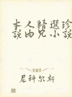 本人精选珍藏小说内兄小说免费阅读