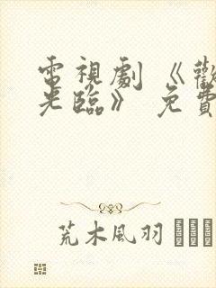 电视剧 《欢迎光临》 免费观看