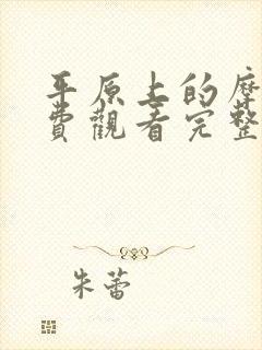 平原上的摩西免费观看完整版封面