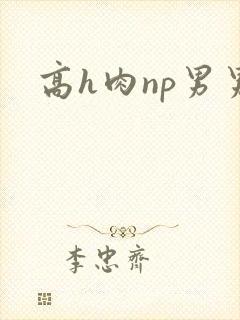 高h肉np男男