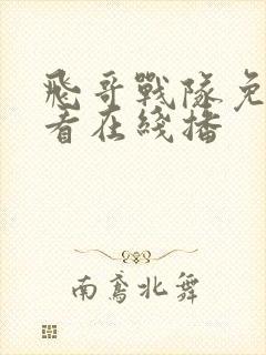 飞哥战队免费观看在线播