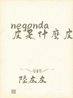 negonda皮是什么皮
