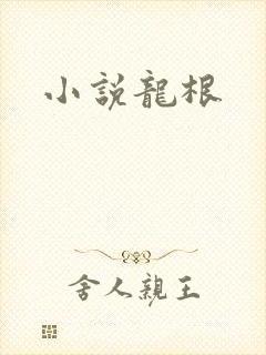 小说龙根