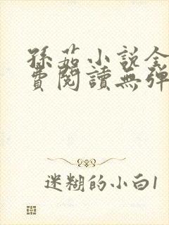 孙茹小说全文免费阅读无弹窗