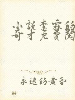 小说李霖的官场奇才免费阅读封面