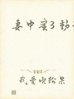 妻中蜜3 动漫