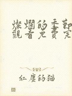 灿烂的季节在线观看免费完整版电视剧封面