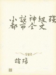 小说神级强者在都市全文封面