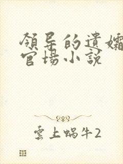 领导的遗孀夫人官场小说