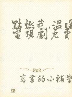 点燃我,温暖你电视剧免费