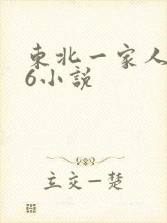 东北一家人1一6小说