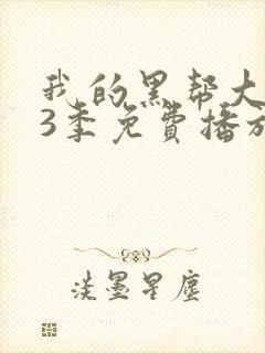 我的黑帮大佬第3季免费播放在线观看